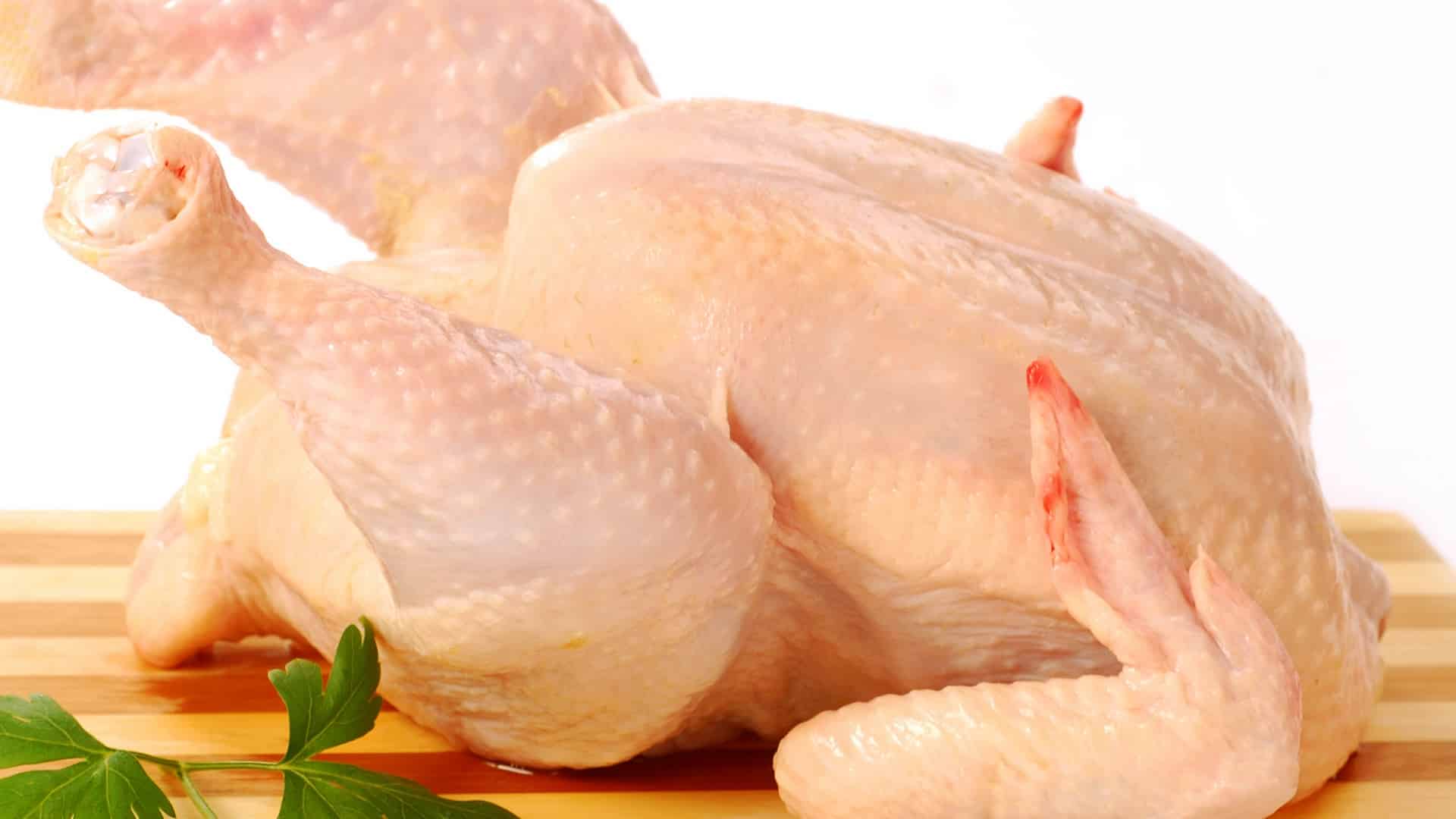 Veja a maneira correta de descongelar o frango para evitar contaminação