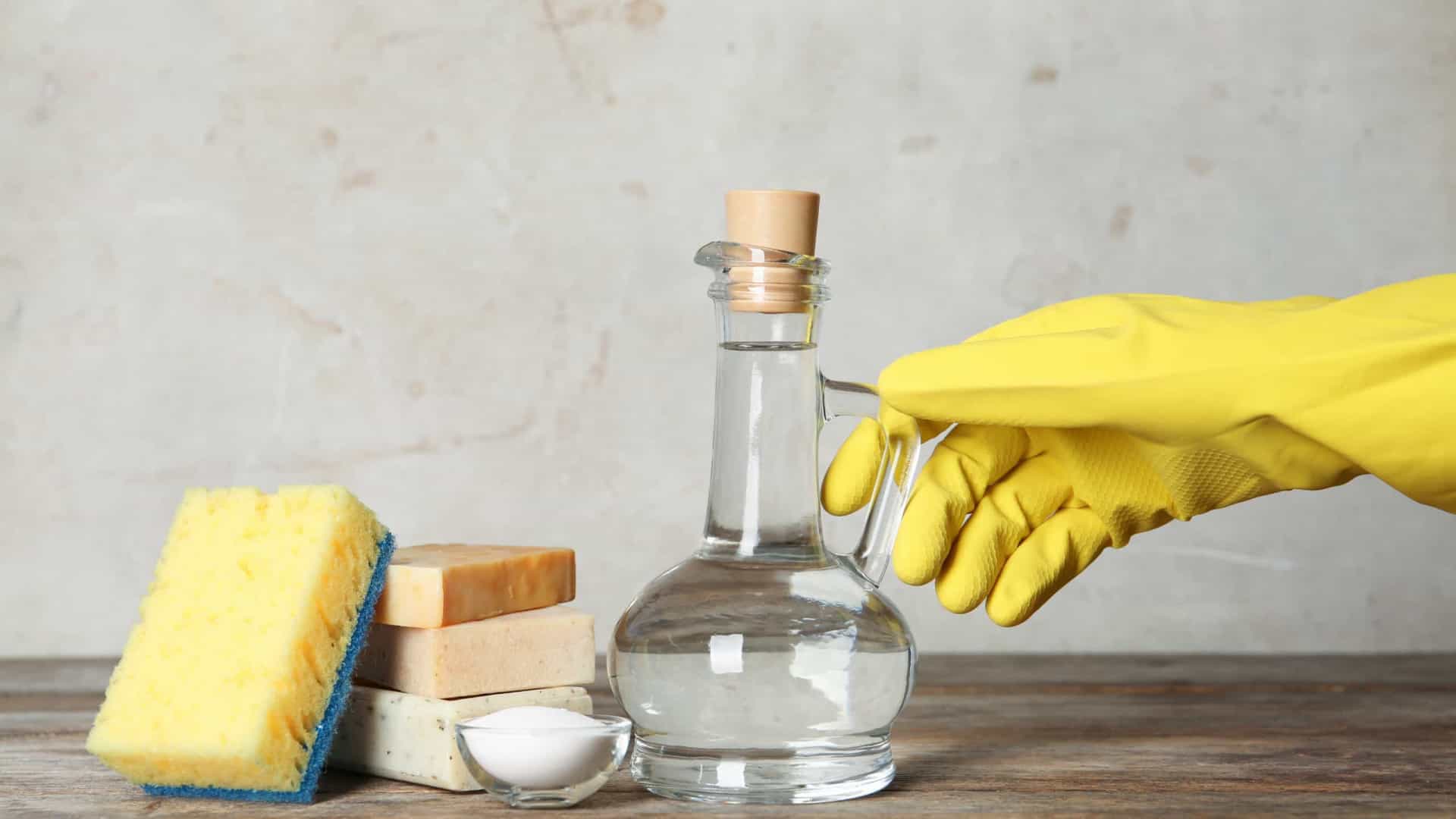Aprenda a fazer vinagre de LIMÃO para deixar sua casa livre de poeira e bactérias