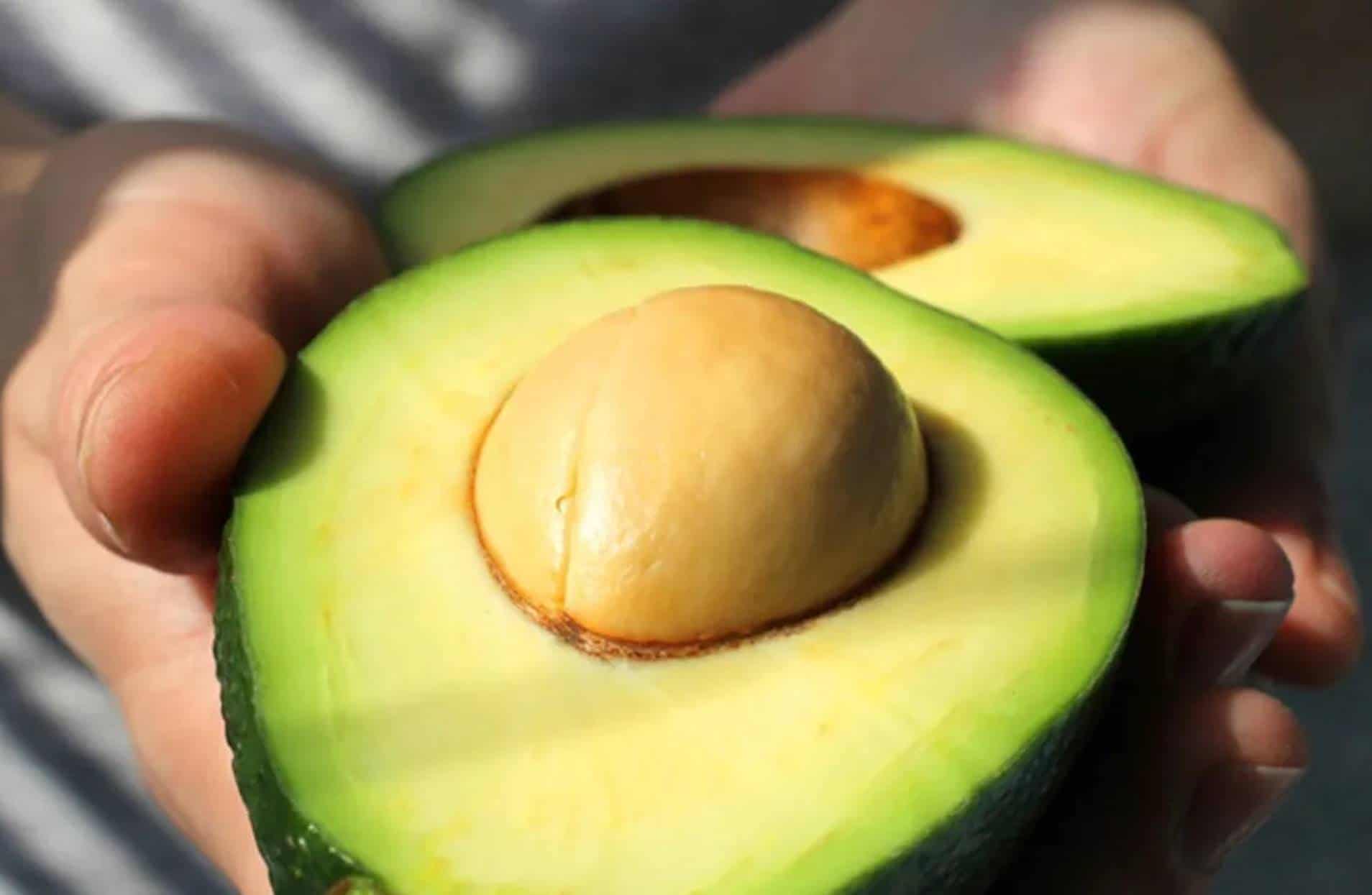O segredo para amadurecer um abacate em 10 minutos sem perder a vitamina
