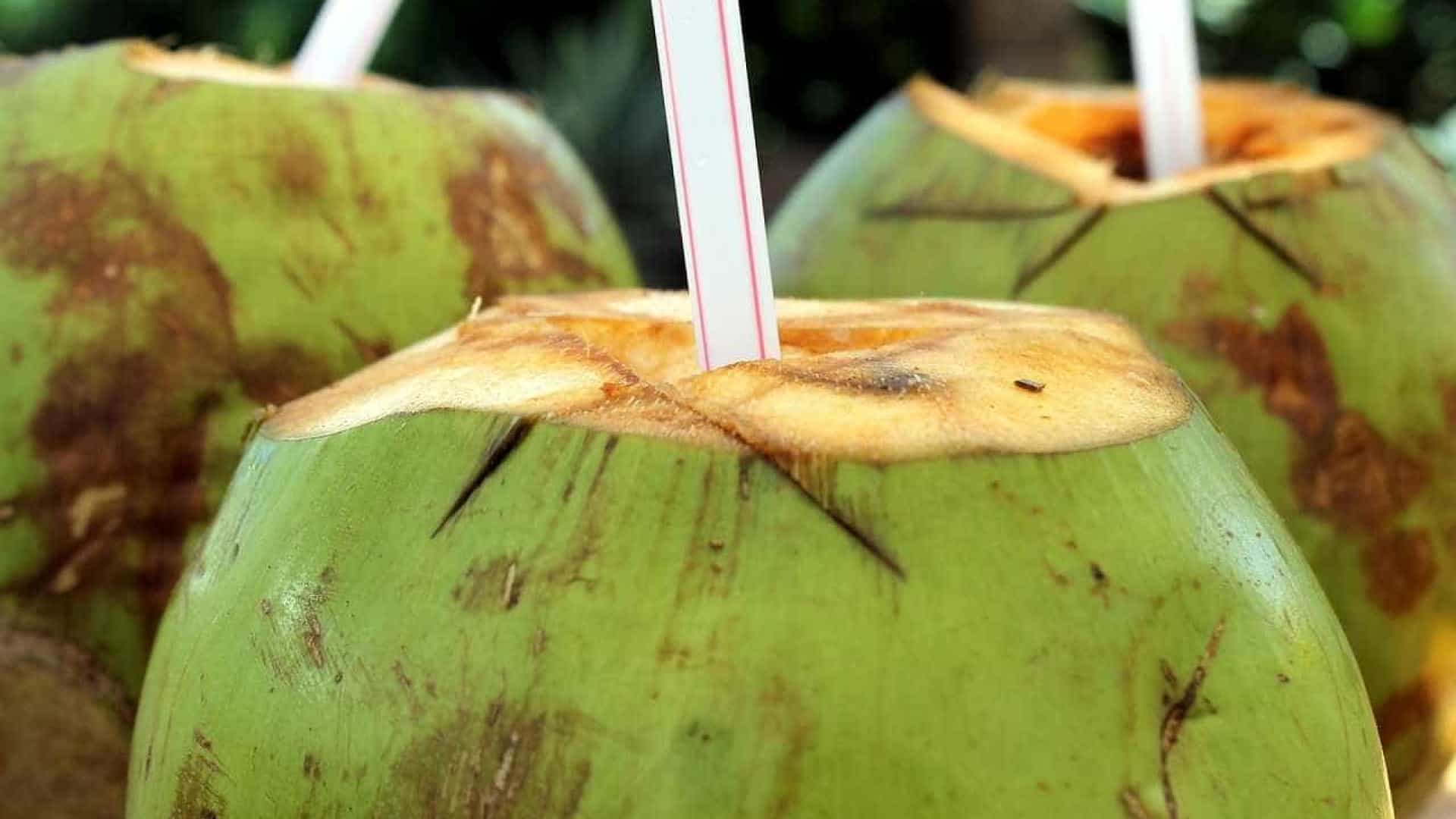 Água de coco: descubra as maravilhas que ocorrerão no seu corpo se você consumir