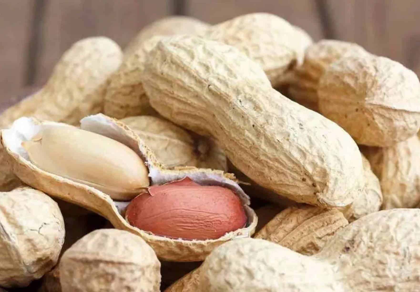 Conheça os benefícios de comer amendoim todos os dias