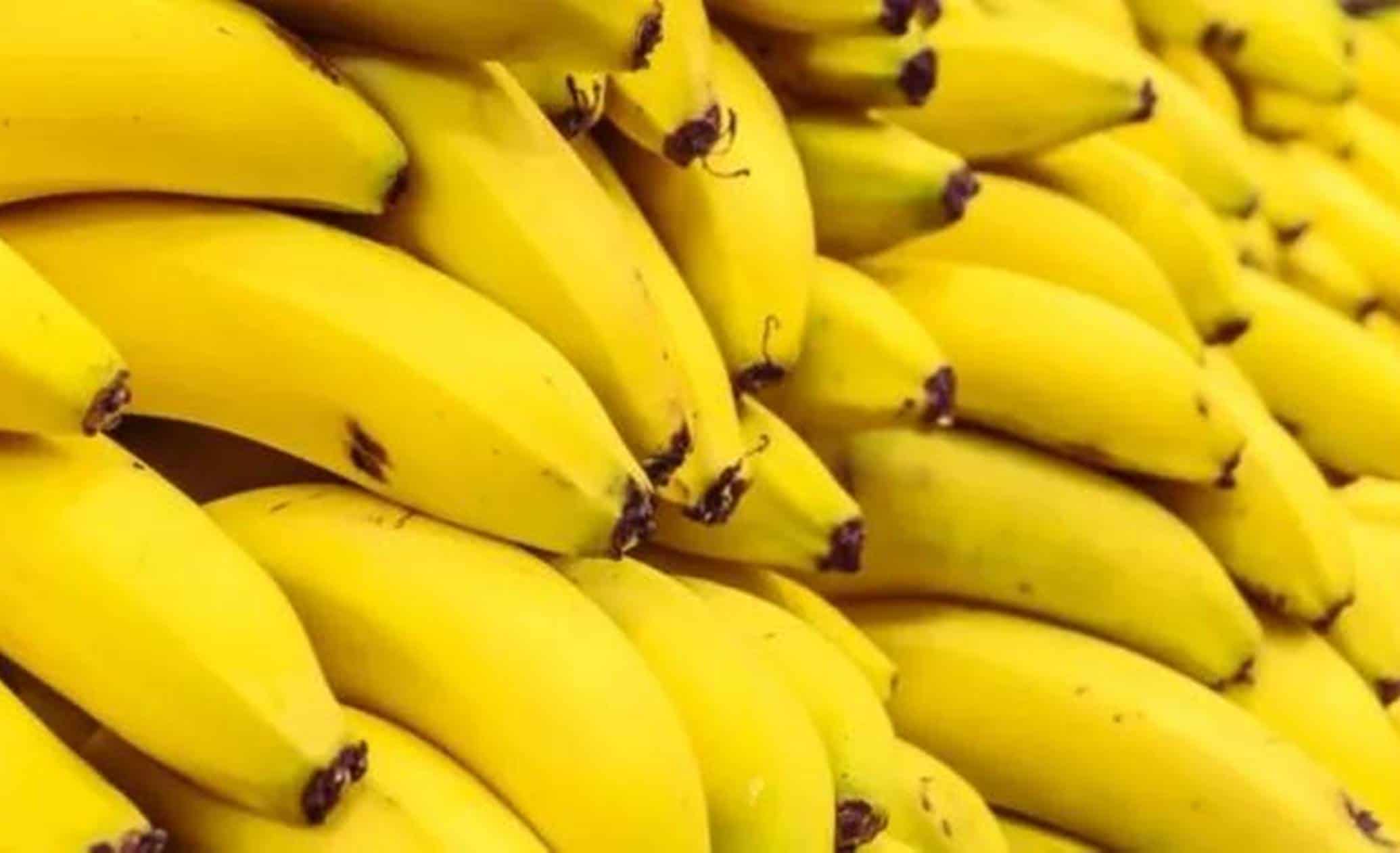 Você não imagina as coisas que a banana pode fazer pela sua pele e cabelo