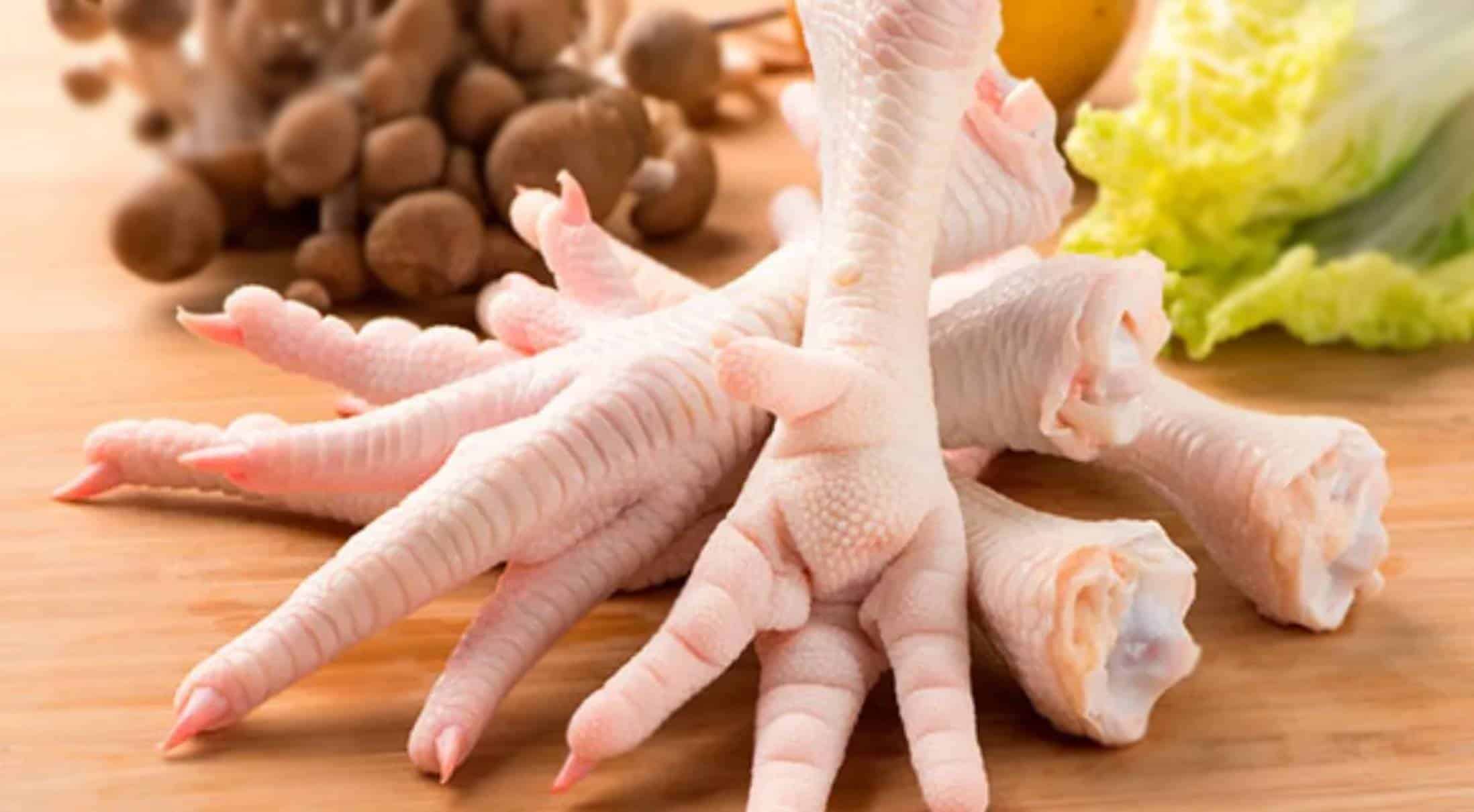 Saiba por que você deve comer pés de galinha uma vez por mês: vão melhorar sua vida!
