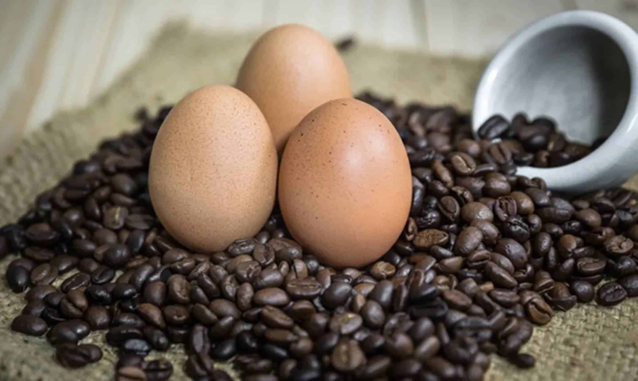 Descubra como melhorar o sabor do café com a casca dos ovos, não jogue fora!