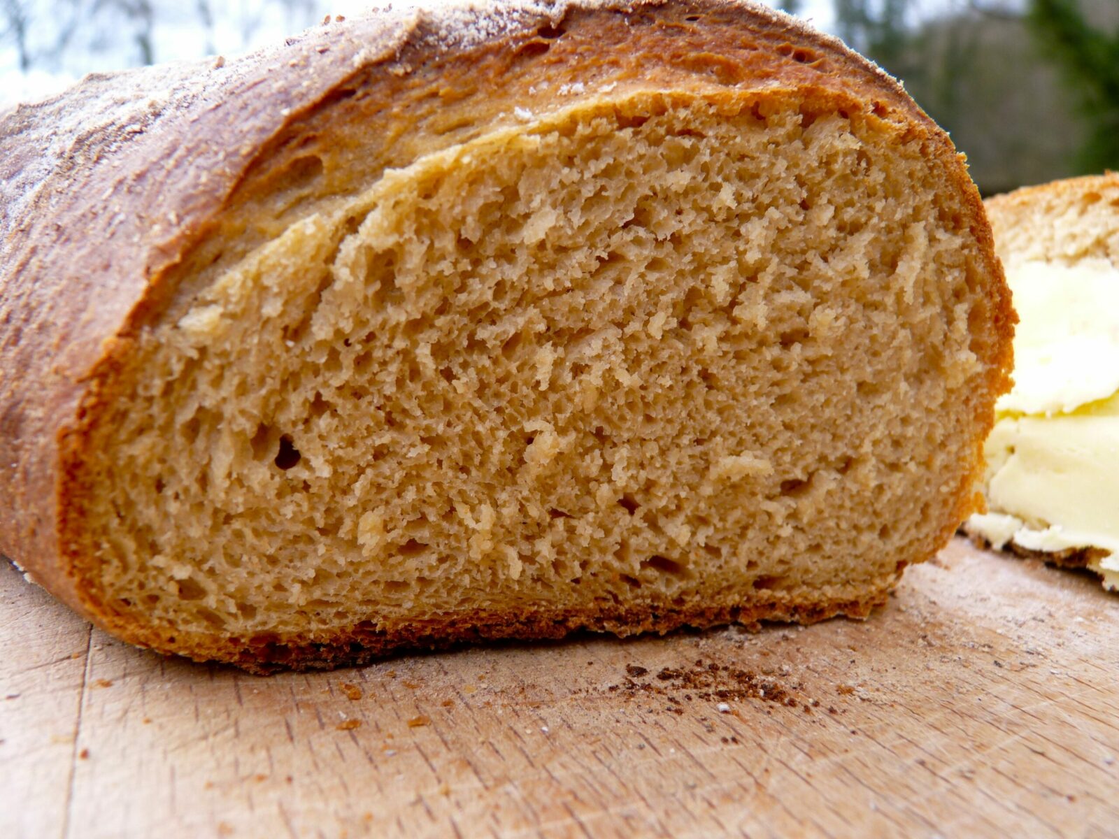  Aprenda a preparar pão caseiro em 1 minuto no microondas