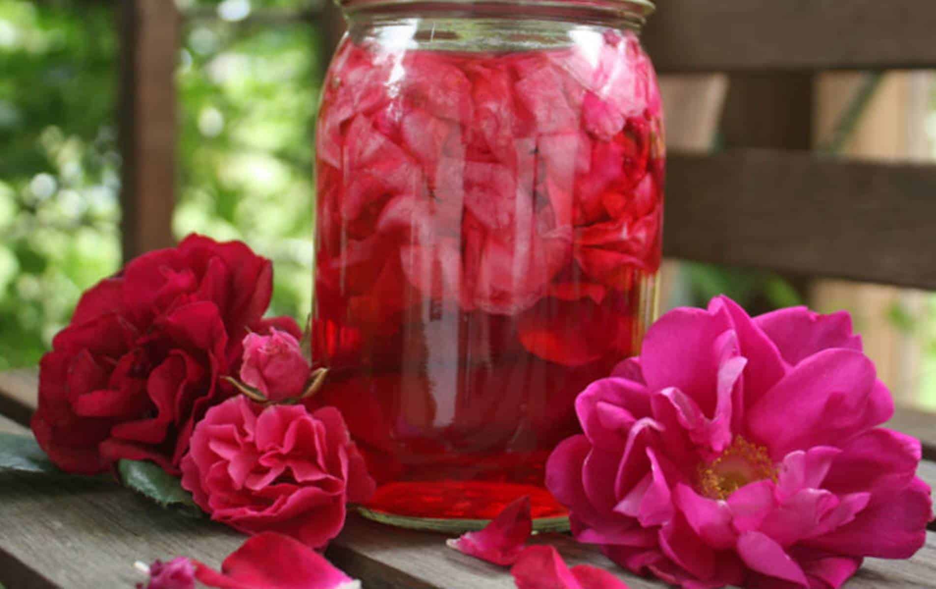 Sem químicos ou corantes: aprenda preparar água de rosas caseira