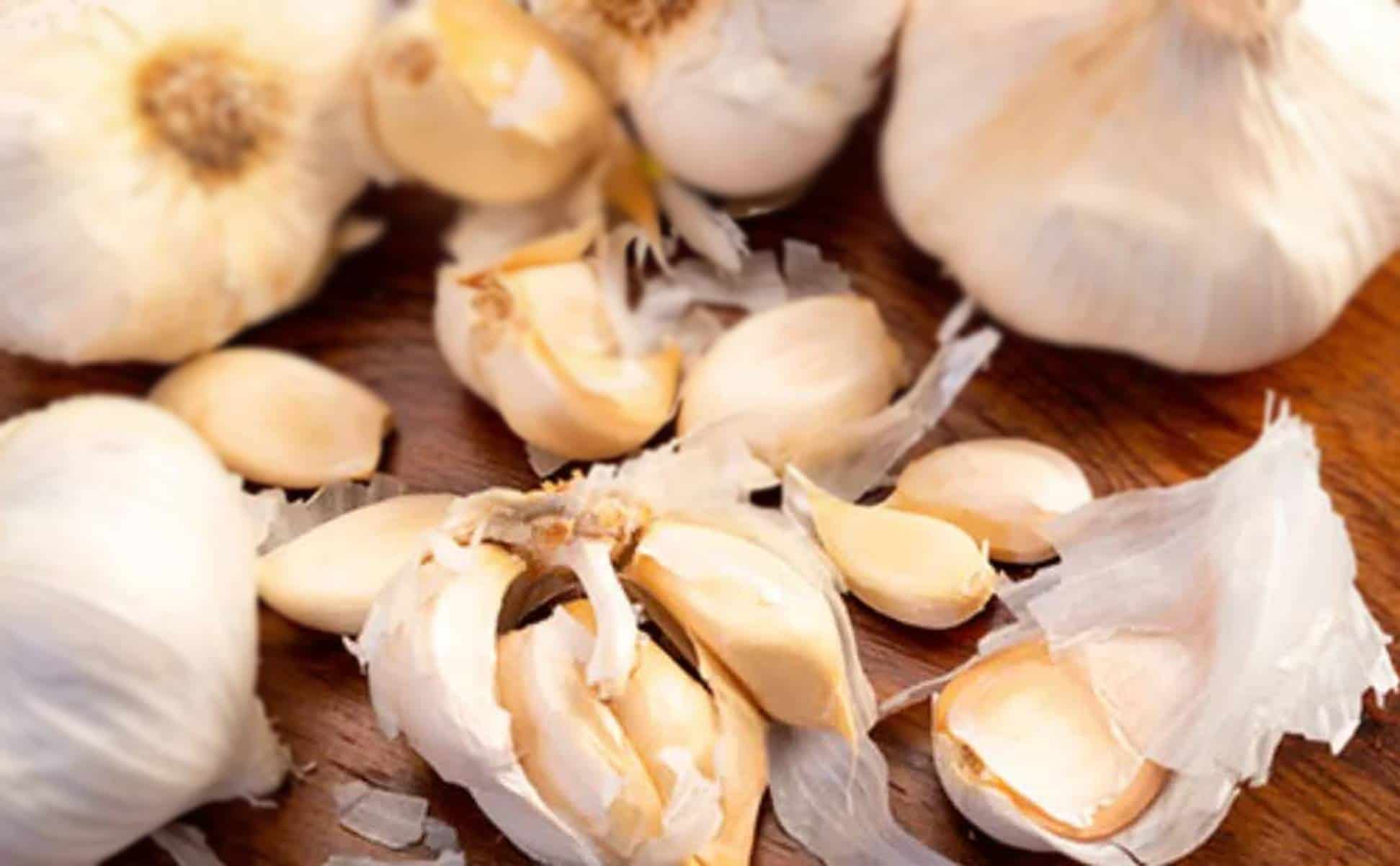5 benefícios incríveis que você receberá ao comer alho com estômago vazio, mas você não sabia