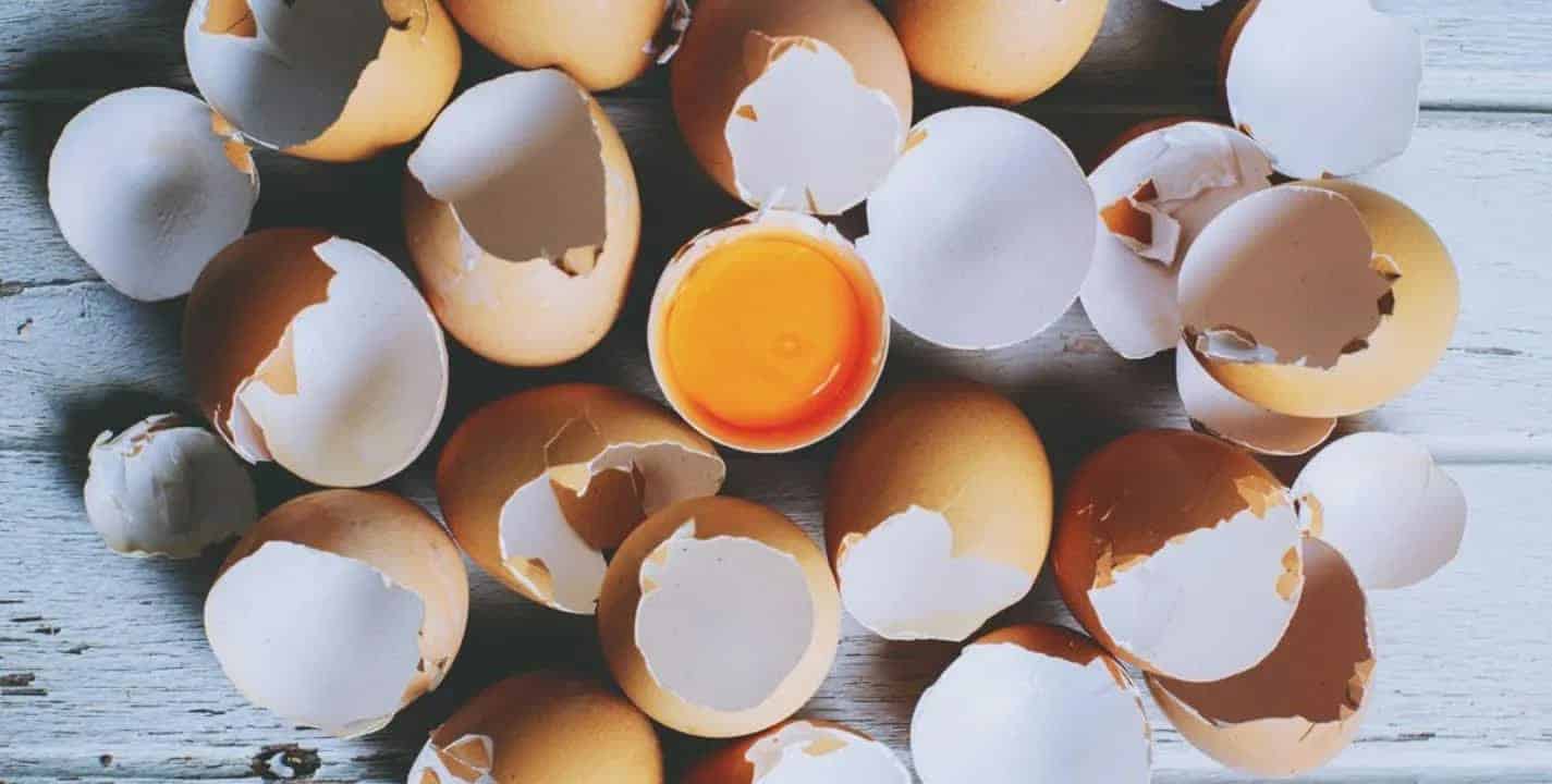 Veja 3 formas de usar a casca de ovo como benefício para sua saúde