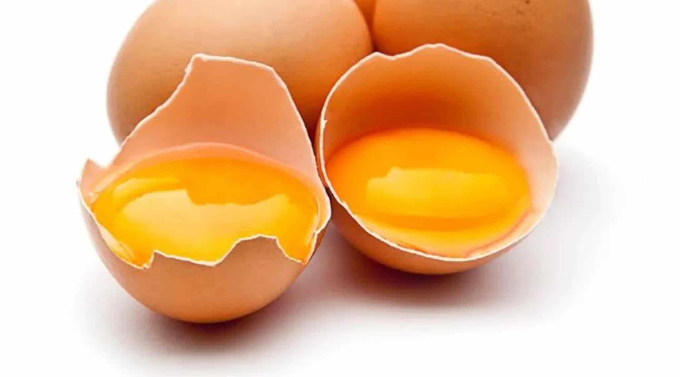 Descubra qual é a parte mais nutritiva do ovo