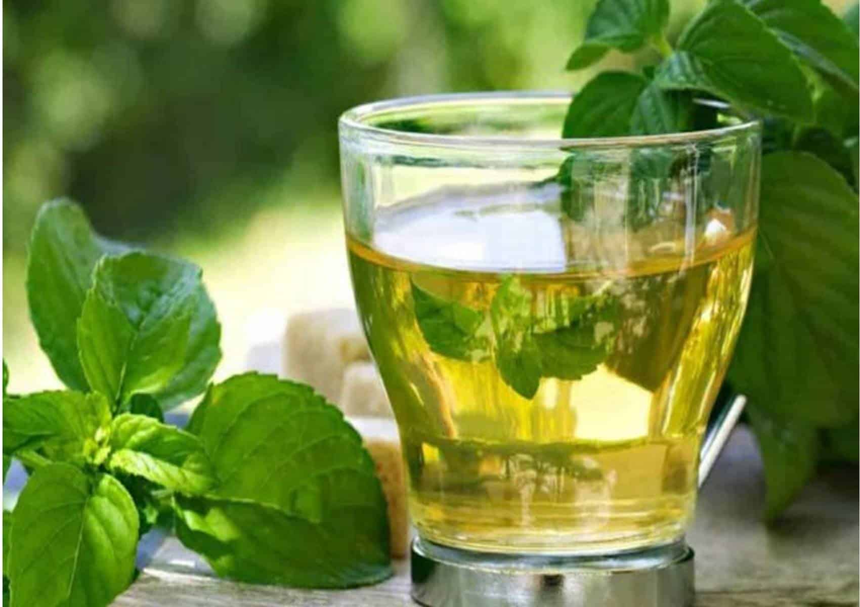 Chá de folhas de figo: descubra o que esta infusão pode fazer pela sua saúde