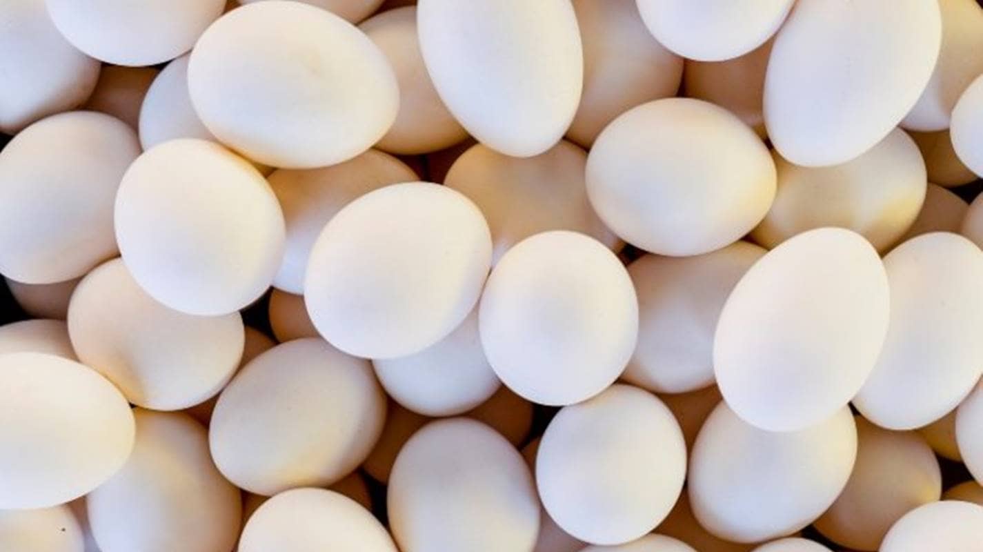 Três benefícios da clara de ovo para sua pele do rosto