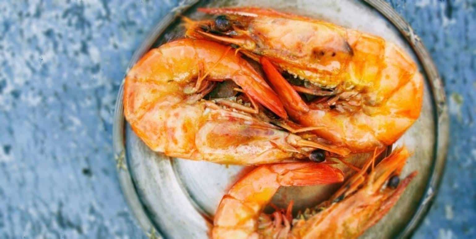 Não coma: Descubra os riscos que a as cabeças do camarão trazem a sua vida