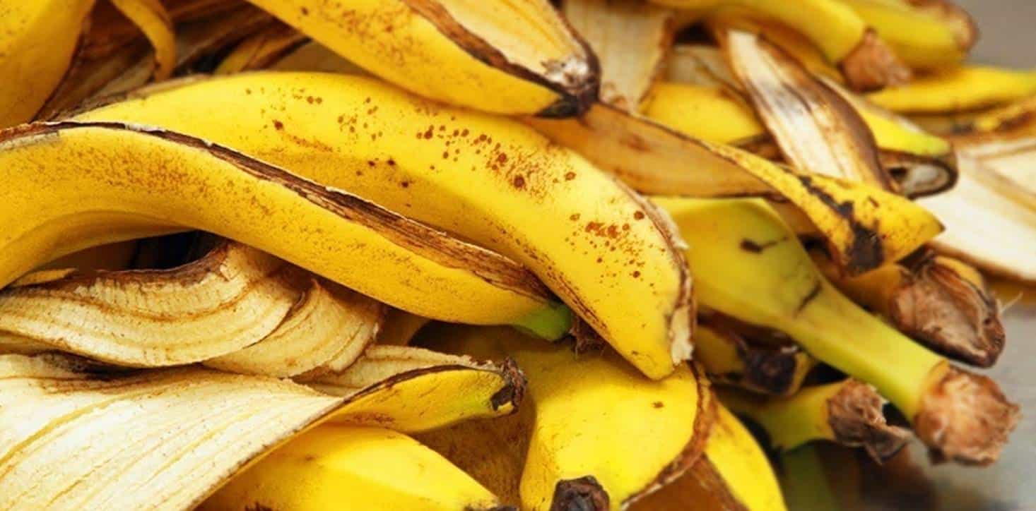 Não jogue fora: saiba tudo o que você pode fazer com a casca da banana