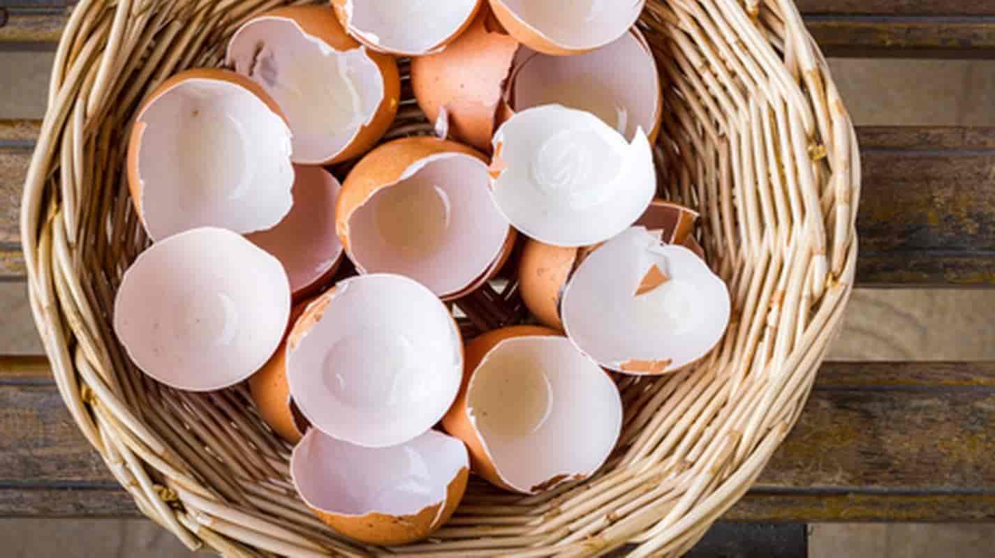 Não jogue fora: aprenda a fazer seu próprio cálcio caseiro com casca de ovo