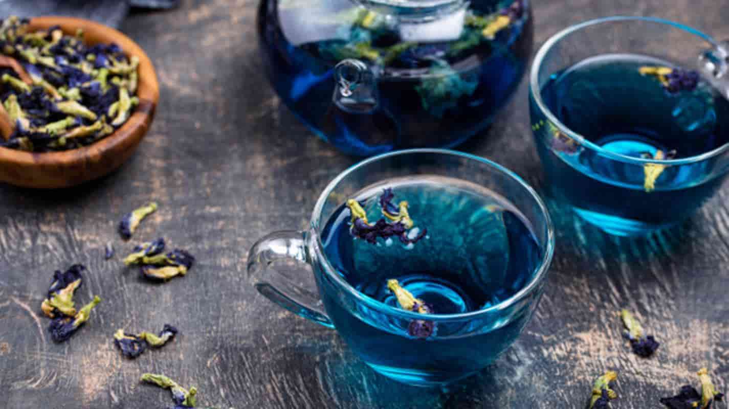 Conheça os incríveis benefícios do chá azul para a saúde