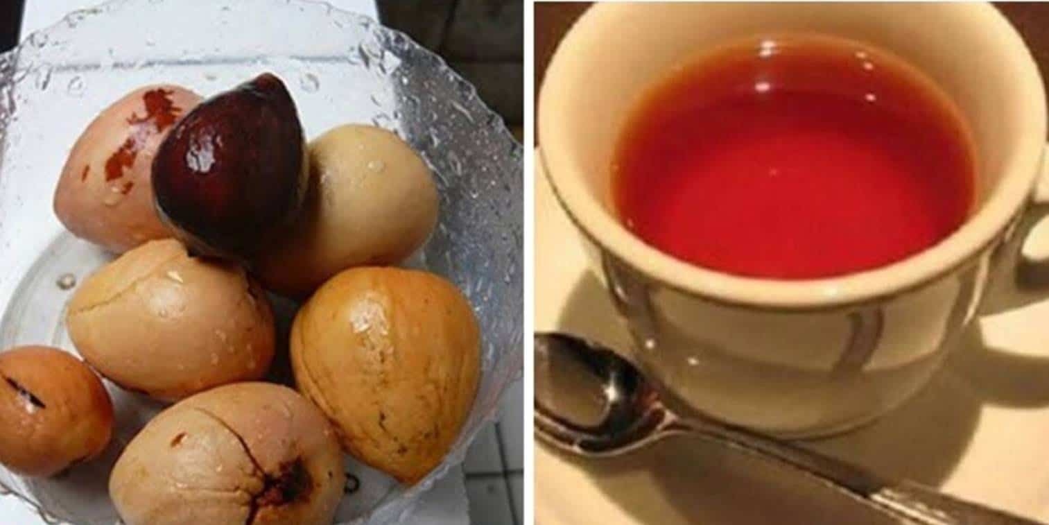 Descubra por que você deve passar a tomar chá de caroço de abacate em jejum