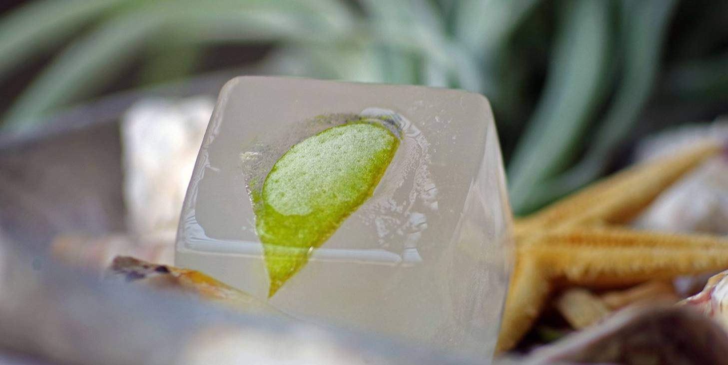 Então você pode fazer cubos de gelo com sabor para suas bebidas