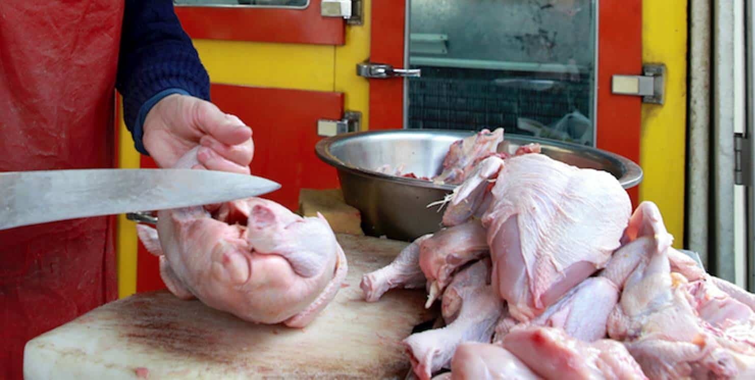 Por que lavar carne de frango crua é um risco para a saúde?