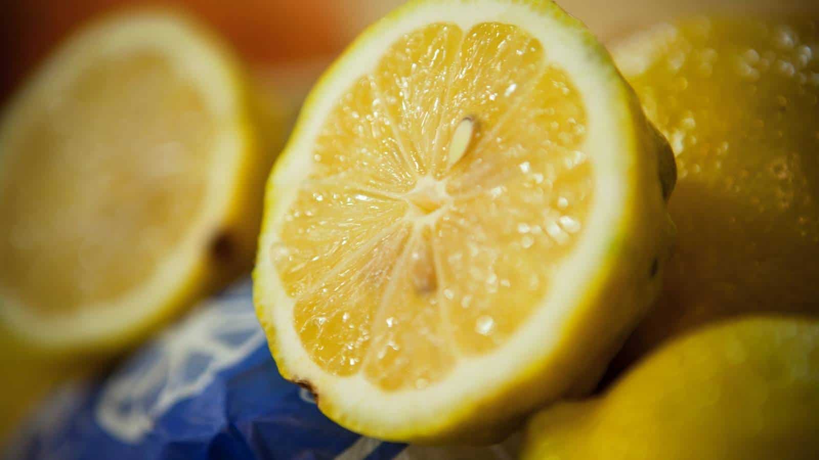 Cinco benefícios do limão para a pele que você provavelmente nem sabia que existiam