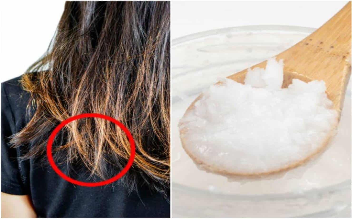 5 usos diferentes de óleo coco para cuidar do cabelo