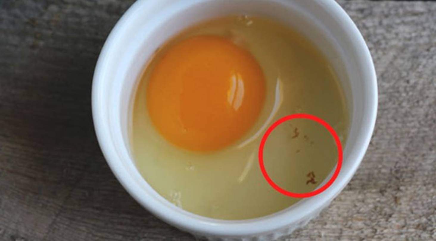O que significam as manchas vermelhas no ovo cru?