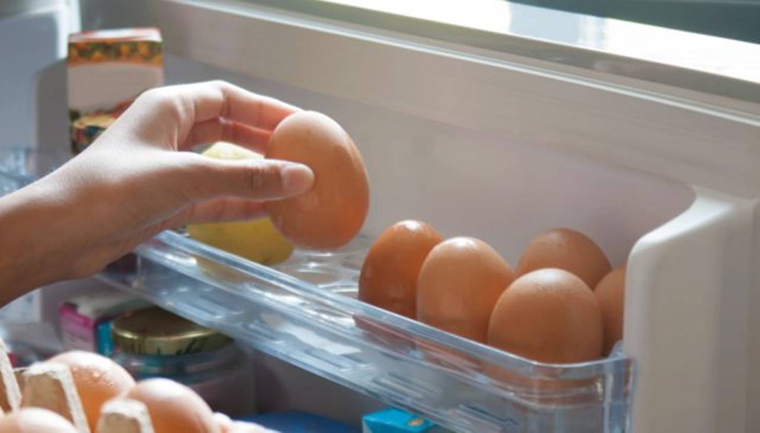 Descubra por que não é bom manter ovos na porta da geladeira