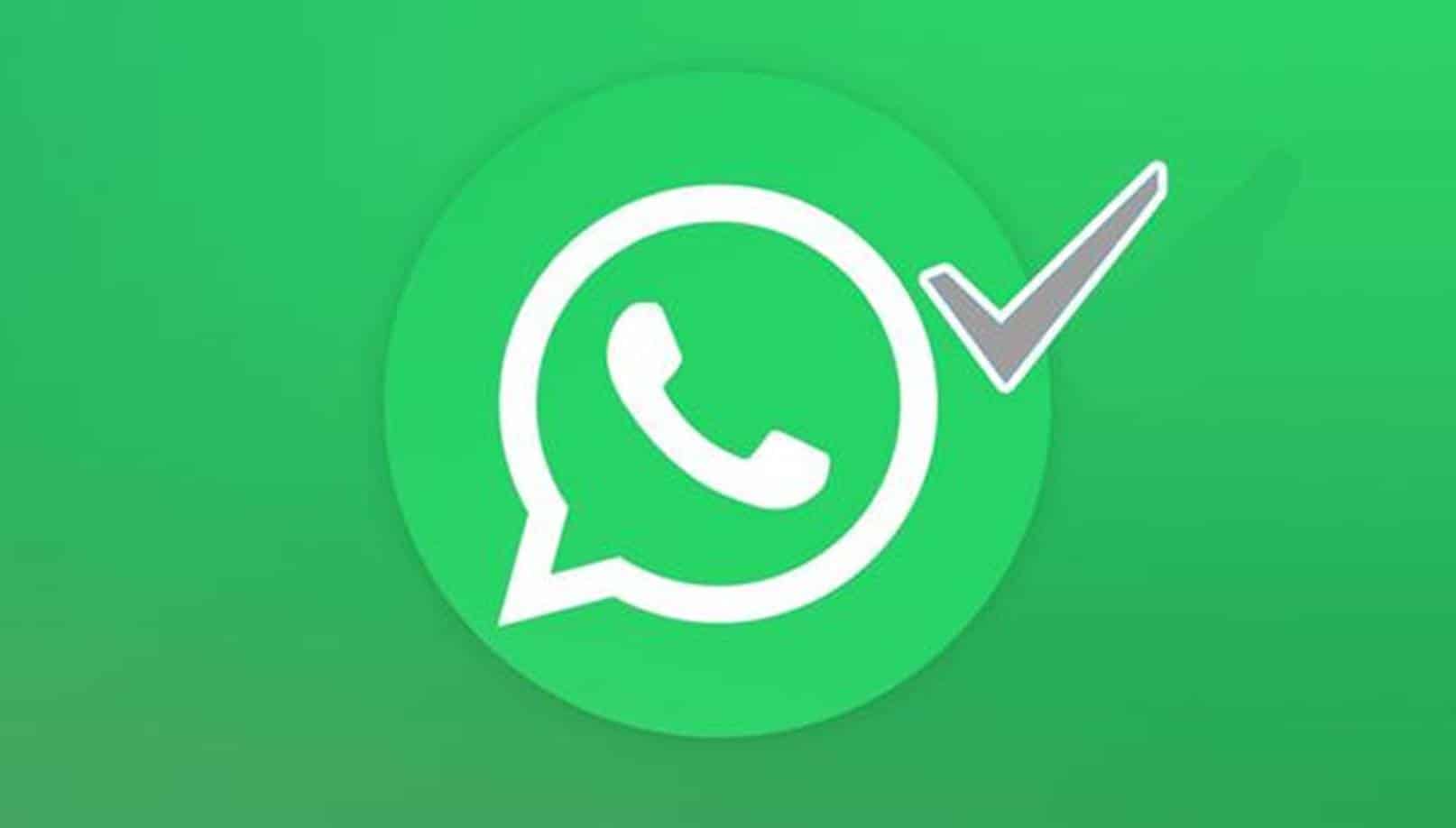O que significa a verificação cinza no WhatsApp