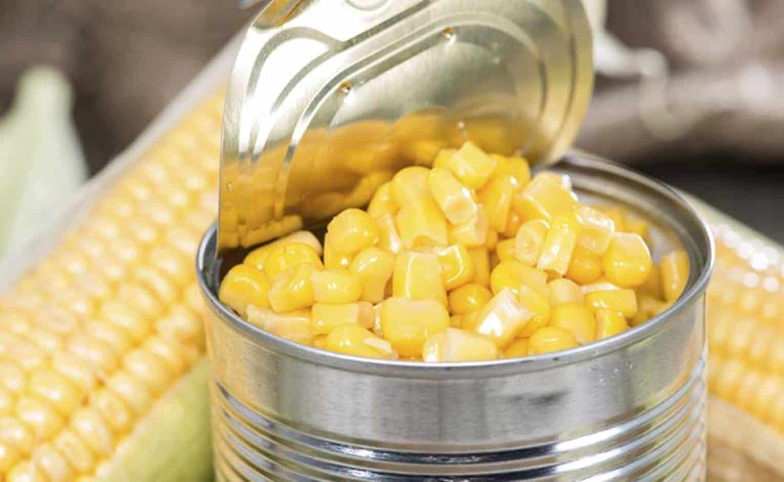 É saudável comer o milho em lata que compramos no supermercado?