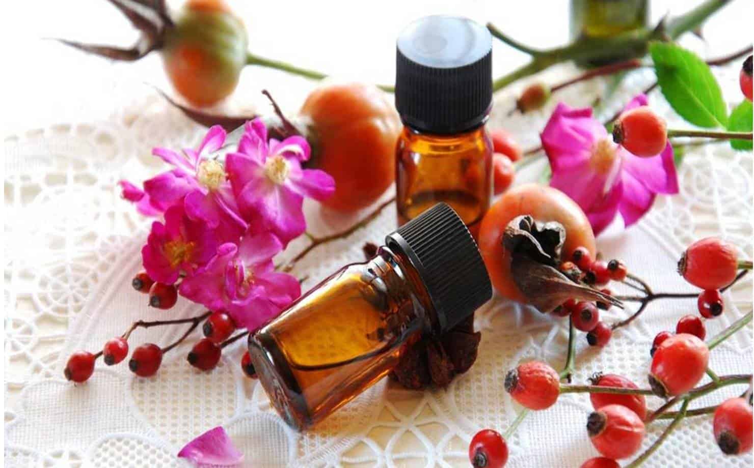 Nove benefícios que o óleo de rosa mosqueta traz para a sua pele