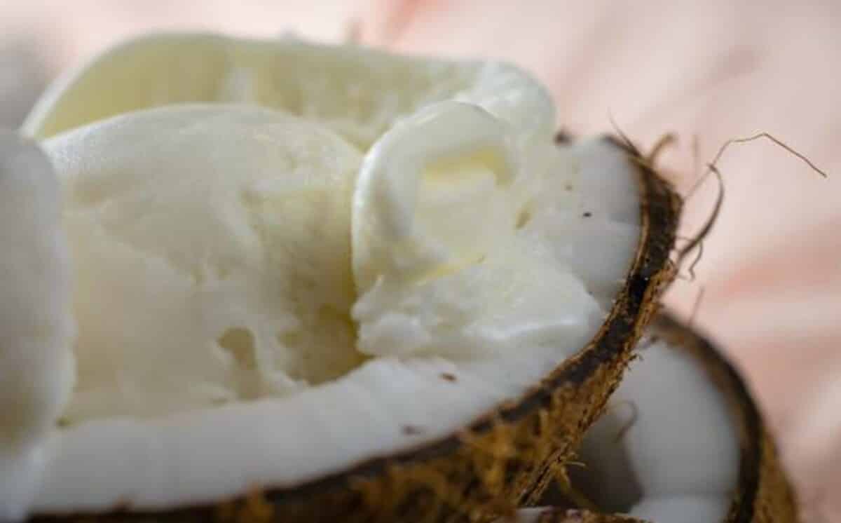 Receita de sorvete cremoso de coco com 4 ingredientes